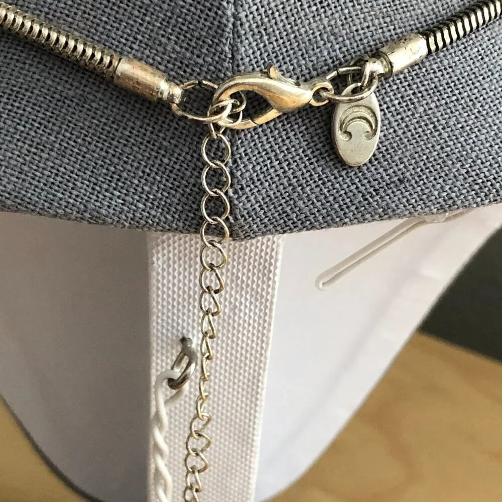 Charming Charlie Silver Choker Snake Chain with Pendant